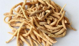 老姜爆料视频大全最新版,揭秘娱乐圈最新动态